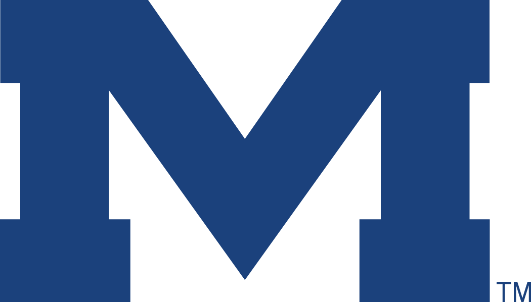 Mississippi Rebels 1996-Pres Alternate Logo v6 iron on transfers for clothing